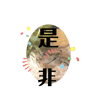 可愛いシマドジョウ5（個別スタンプ：31）
