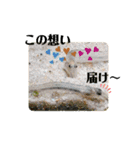 可愛いシマドジョウ5（個別スタンプ：33）