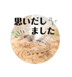 可愛いシマドジョウ5（個別スタンプ：38）