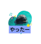 アニマルピクチャーズ（個別スタンプ：8）