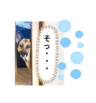 クレア＆ロイ（個別スタンプ：1）