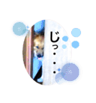クレア＆ロイ（個別スタンプ：4）
