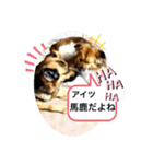 クレア＆ロイ（個別スタンプ：11）