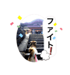 クレア＆ロイ（個別スタンプ：12）