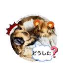 クレア＆ロイ（個別スタンプ：21）