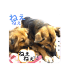 クレア＆ロイ（個別スタンプ：23）