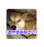 田中なつ（個別スタンプ：4）