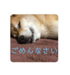 田中なつ（個別スタンプ：5）
