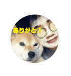 田中なつ（個別スタンプ：6）