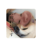 田中なつ（個別スタンプ：10）