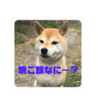 田中なつ（個別スタンプ：13）