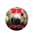 田中なつ（個別スタンプ：14）