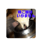 田中なつ（個別スタンプ：15）
