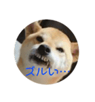 田中なつ（個別スタンプ：16）