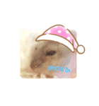 ハムハムちゃんのスタンプ（個別スタンプ：6）