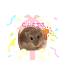 ハムハムちゃんのスタンプ（個別スタンプ：7）