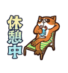 釣りのスタンプ(広島市近郊) (2)（個別スタンプ：17）