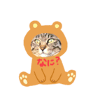 しょうのペット（個別スタンプ：1）