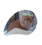 色んな動物ⓒⓤⓣⓔ♡なスタンプ（個別スタンプ：2）