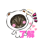 フゥちゃんの日常スタンプ（個別スタンプ：1）