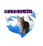 フゥちゃんの日常スタンプ（個別スタンプ：9）