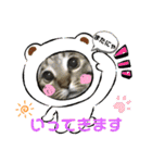 フゥちゃんの日常スタンプ（個別スタンプ：17）