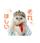 モフモフたち♡（個別スタンプ：5）