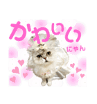 モフモフたち♡（個別スタンプ：14）