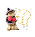 モフモフたち♡（個別スタンプ：17）