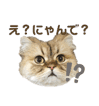 モフモフたち♡（個別スタンプ：20）