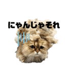 モフモフたち♡（個別スタンプ：22）
