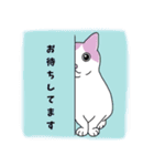 猫好きな大人の日常会話（個別スタンプ：2）