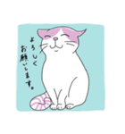 猫好きな大人の日常会話（個別スタンプ：4）