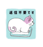 猫好きな大人の日常会話（個別スタンプ：5）