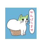 猫好きな大人の日常会話（個別スタンプ：8）