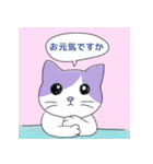 猫好きな大人の日常会話（個別スタンプ：12）