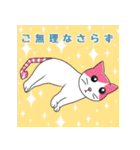 猫好きな大人の日常会話（個別スタンプ：16）