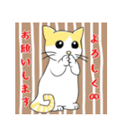 猫好きな大人の日常会話（個別スタンプ：36）