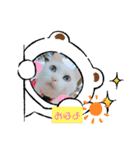 わさびのスタンプその2（個別スタンプ：1）