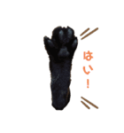ピンクちゃん2（個別スタンプ：1）