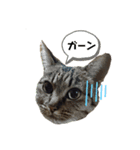 ピンクちゃん2（個別スタンプ：4）