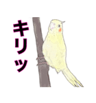 ぱいんちゃんです（個別スタンプ：5）