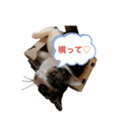 末っ子うみちゃん（個別スタンプ：1）