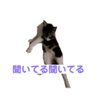 末っ子うみちゃん（個別スタンプ：10）