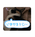 末っ子うみちゃん（個別スタンプ：11）
