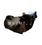 末っ子うみちゃん（個別スタンプ：14）