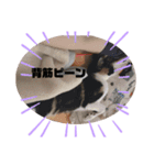 末っ子うみちゃん（個別スタンプ：15）