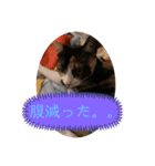 末っ子うみちゃん（個別スタンプ：16）
