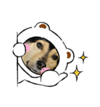 可愛い保護犬ズーくん（個別スタンプ：7）
