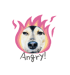 可愛い保護犬ズーくん（個別スタンプ：17）